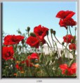/album/photo-gallery-canvas-uri/decoratiuni-de-perete-canvas-lc-1089-jpg/